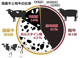 和牛と国産牛の違いについて～和牛の種類 | 壱岐牛－こやま牧場