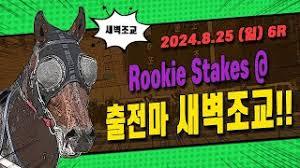 부산 경마] 2024 Rookie Stakes@부산 경주 출전마 새벽조교 - YouTube