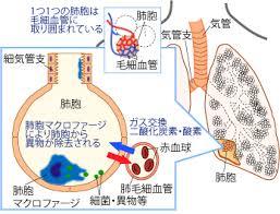 アーカイブ集（Meiのひろば：フロンティア04）