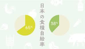 日本の食料自給率が低い理由とは？現状の問題点と自給率を上げる方法を ...